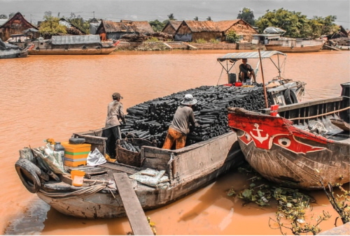 Bảo vệ thị trường Việt Nam